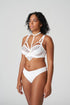 PrimaDonna Arthill Special Accessory